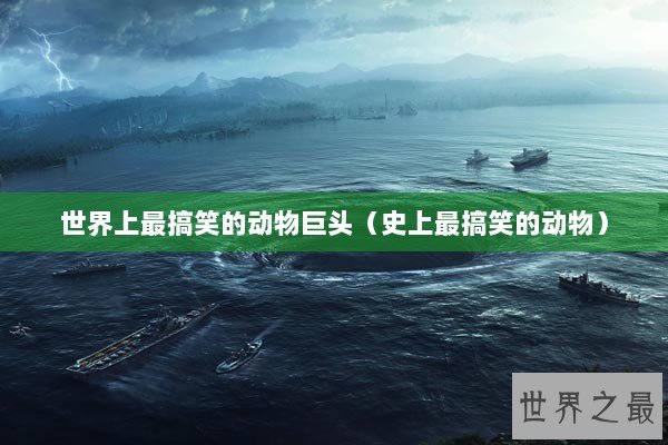 世界上最搞笑的动物巨头（史上最搞笑的动物）