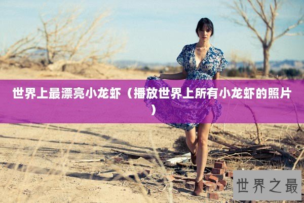 世界上最漂亮小龙虾（播放世界上所有小龙虾的照片）