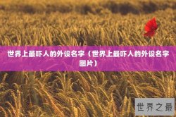 世界上最吓人的外设名字（世界上最吓人的外设名字图片）