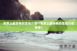 世界上最恐怖的雪崩介绍（世界上最恐怖的雪崩介绍视频）