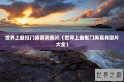 世界上最抠门男嘉宾图片（世界上最抠门男嘉宾图片大全）