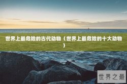 世界上最危险的古代动物（世界上最危险的十大动物）