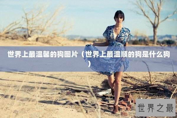 世界上最温馨的狗图片（世界上最温顺的狗是什么狗）