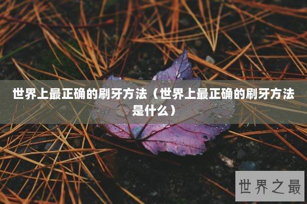 世界上最正确的刷牙方法（世界上最正确的刷牙方法是什么）