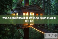 世界上最昂贵的哭泣画面（世界上最昂贵的哭泣画面是什么）