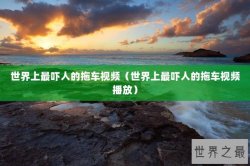 世界上最吓人的拖车视频（世界上最吓人的拖车视频播放）