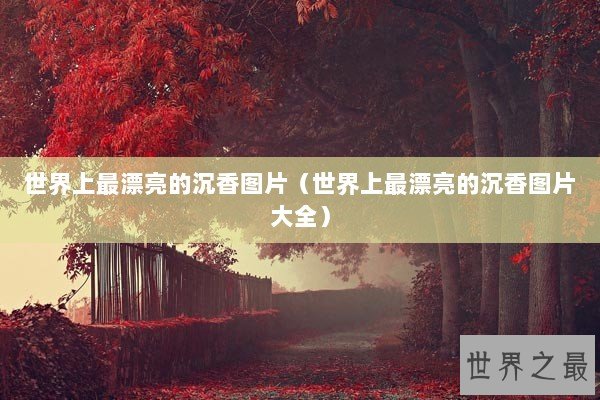 世界上最漂亮的沉香图片(世界上最漂亮的沉香图片大全) 世界上最漂亮的沉香图片(世界上最漂亮的沉香图片大全)