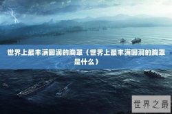 世界上最丰满圆润的胸罩（世界上最丰满圆润的胸罩是什么）