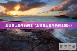 全世界上最牛的树木（全世界上最牛的树木图片）
