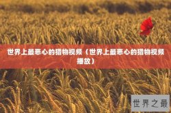 世界上最恶心的猎物视频（世界上最恶心的猎物视频播放）