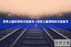 世界上最珍贵的汗血宝马（世界上最漂亮的汗血宝马）