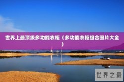 世界上最顶级多功能衣柜（多功能衣柜组合图片大全）