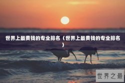 世界上最费钱的专业排名（世界上最费钱的专业排名）