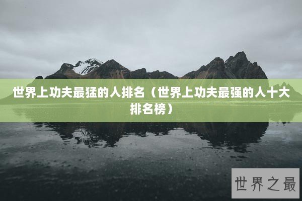 世界上功夫最猛的人排名（世界上功夫最强的人十大排名榜）
