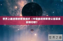 世界上最透明的慈善组织（中国最透明慈善公益基金会排行榜）
