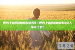 世界上最残忍的刑罚杖刑（世界上最残忍的刑罚没人撑过十秒）