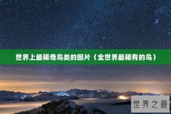 世界上最稀奇鸟类的图片（全世界最稀有的鸟）