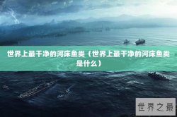世界上最干净的河床鱼类（世界上最干净的河床鱼类是什么）