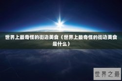 世界上最奇怪的街边美食（世界上最奇怪的街边美食是什么）