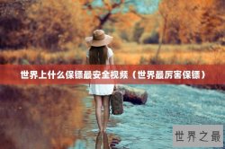 世界上什么保镖最安全视频（世界最厉害保镖）