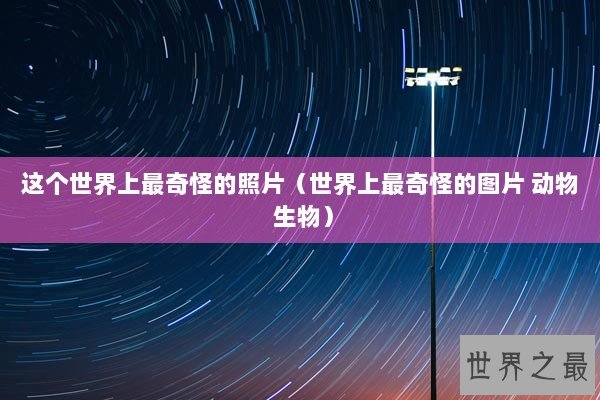 这个世界上最奇怪的照片（世界上最奇怪的图片 动物 生物）