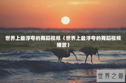 世界上最浮夸的舞蹈视频（世界上最浮夸的舞蹈视频播放）