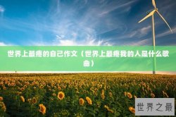 世界上最疼的自己作文（世界上最疼我的人是什么歌曲）