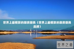 世界上最精致的厨房厨具（世界上最精致的厨房厨具品牌）