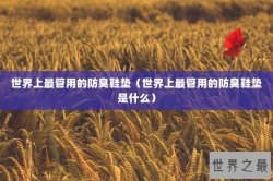 世界上最管用的防臭鞋垫（世界上最管用的防臭鞋垫是什么）