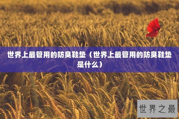 世界上最管用的防臭鞋垫（世界上最管用的防臭鞋垫是什么）