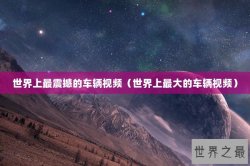 世界上最震撼的车辆视频（世界上最大的车辆视频）