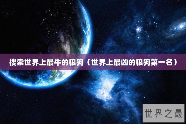 搜索世界上最牛的狼狗（世界上最凶的狼狗第一名）