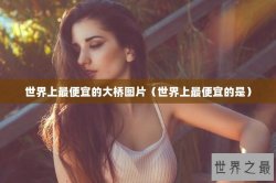 世界上最便宜的大桥图片（世界上最便宜的是）