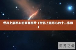 世界上最恶心的乘客图片（世界上最恶心的十二张图）
