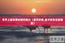 世界上最贤惠的媳妇图片（最贤的妻,最才的女出自哪里）