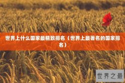 世界上什么国家最精致排名（世界上最著名的国家排名）