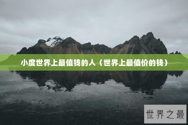 小度世界上最值钱的人（世界上最值价的钱）