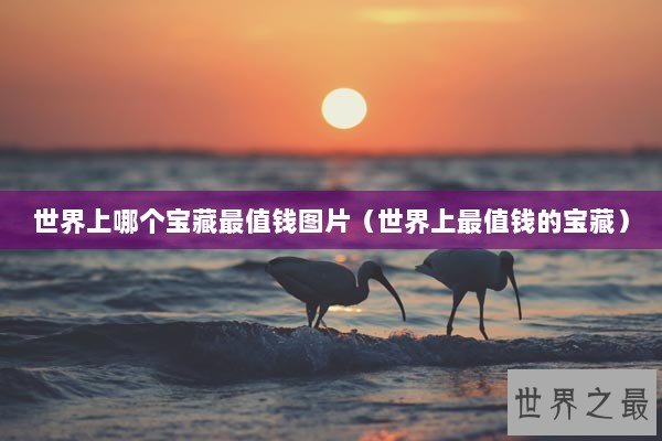 世界上哪个宝藏最值钱图片（世界上最值钱的宝藏）