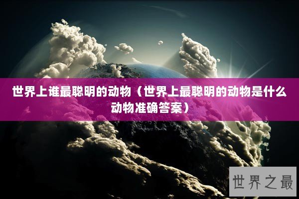世界上谁最聪明的动物（世界上最聪明的动物是什么动物准确答案）