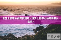 世界上最霸气的足球先生（世界足球先生排行榜）