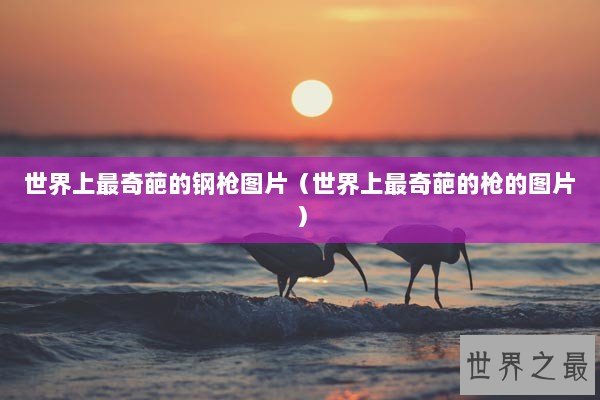 世界上最奇葩的钢枪图片(世界上最奇葩的枪的图片) 世界上最奇葩的钢枪图片(世界上最奇葩的枪的图片)