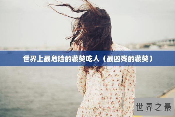 世界上最危险的藏獒吃人（最凶残的藏獒）