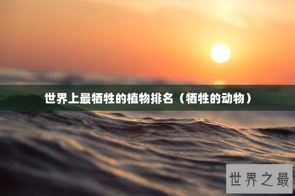 世界上最牺牲的植物排名（牺牲的动物）