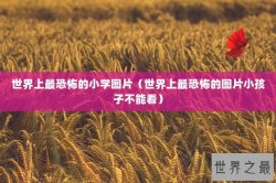 世界上最恐怖的小学图片（世界上最恐怖的图片小孩子不能看）