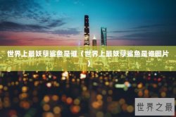 世界上最妖孽鲨鱼是谁（世界上最妖孽鲨鱼是谁图片）