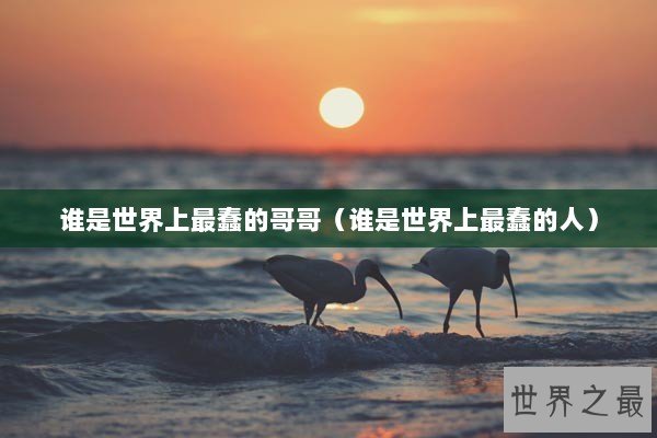 谁是世界上最蠢的哥哥（谁是世界上最蠢的人）