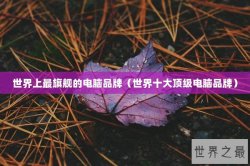 世界上最旗舰的电脑品牌（世界十大顶级电脑品牌）