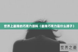 世界上最辣的巧克力原料（最辣巧克力是什么牌子）