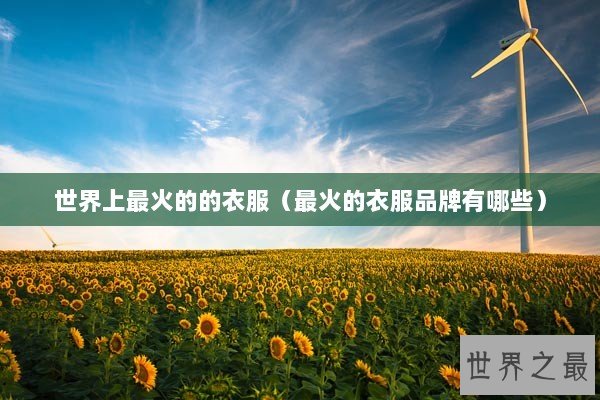 世界上最火的的衣服（最火的衣服品牌有哪些）