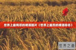 世界上最残忍的啤酒图片（世界上最烈的啤酒排名）